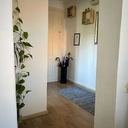 Bacvice Experience Apartment *